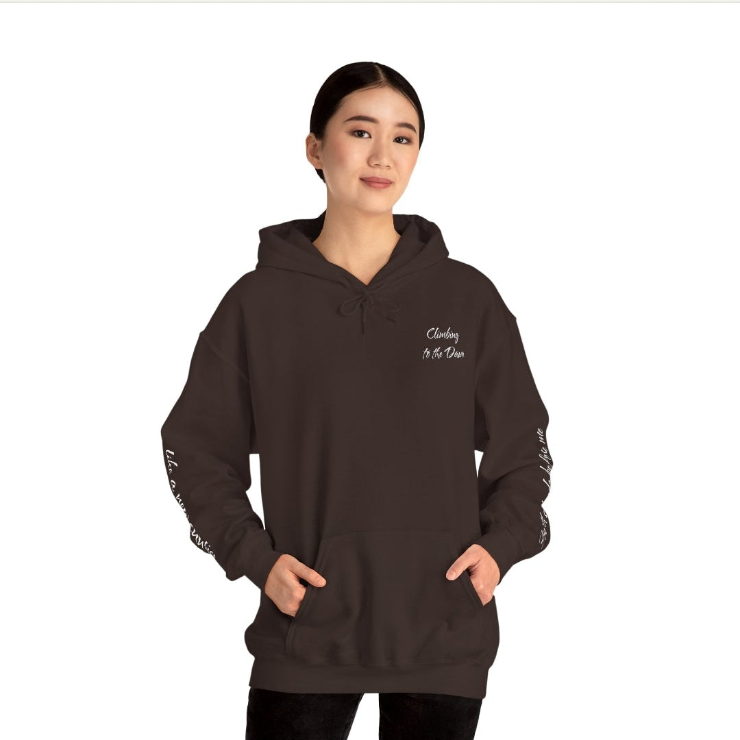 aesthetic streetwear hoodie front view
