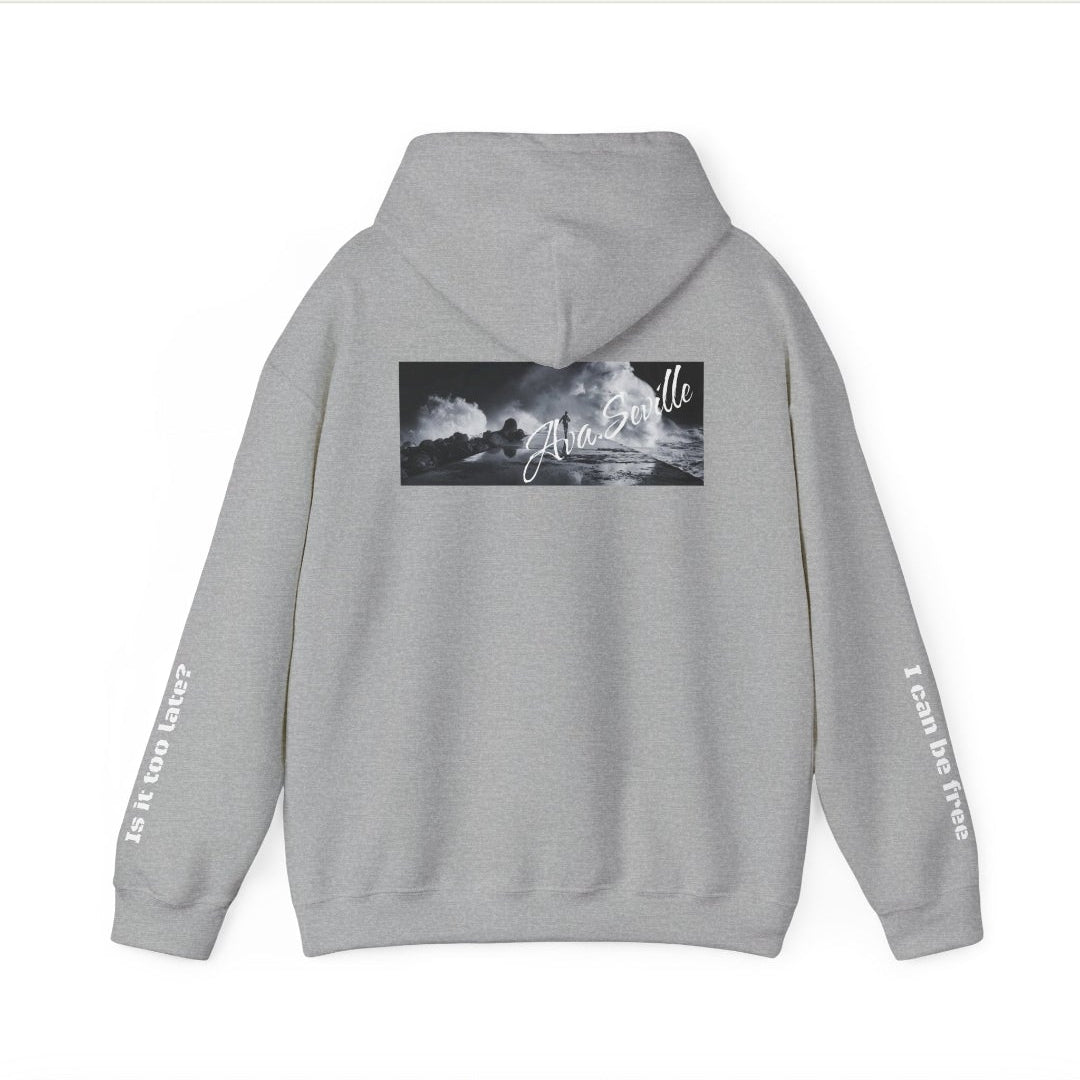 loose fit hoodie back design